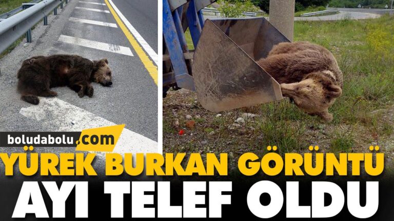YÜREK BURKAN GÖRÜNTÜ