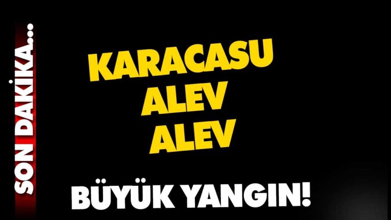 KARACASU’DA BÜYÜK YANGIN