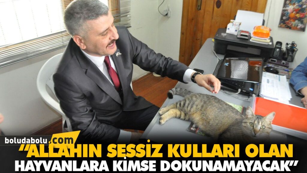 “ALLAHIN SESSİZ KULLARI OLAN HAYVANLARA KİMSE DOKUNAMAYACAK” “ALLAHIN SESSİZ KULLARI OLAN HAYVANLARA KİMSE DOKUNAMAYACAK”