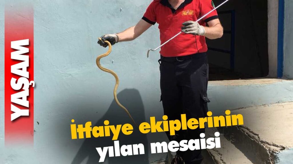 İtfaiye ekiplerinin yılan mesaisi İtfaiye ekiplerinin yılan mesaisi