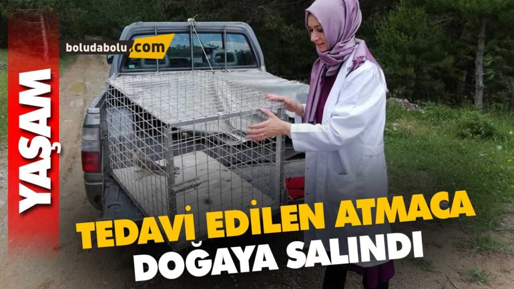 TEDAVİ EDİLEN ATMACA DOĞAYA SALINDI TEDAVİ EDİLEN ATMACA DOĞAYA SALINDI