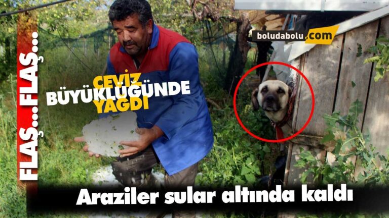 1 saat etkili olan sağanak yağış ve dolu ekili arazilere zarar verdi