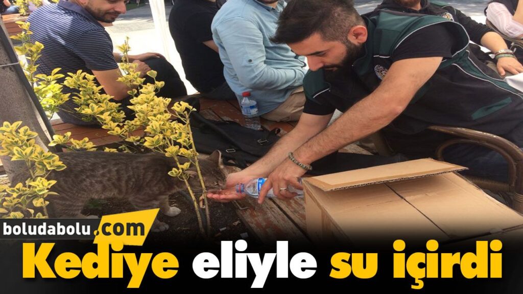 Kediye eliyle su içirdi Kediye eliyle su içirdi