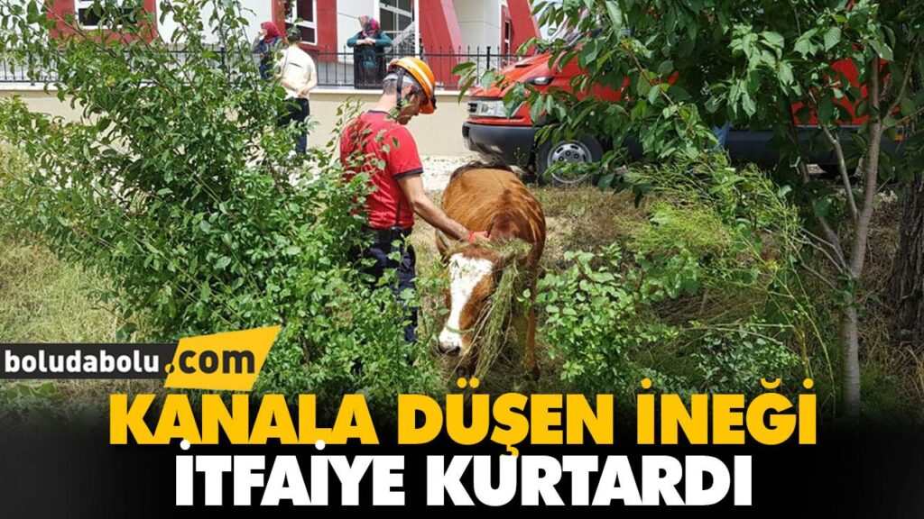 KANALA DÜŞEN İNEĞİ İTFAİYE KURTARDI KANALA DÜŞEN İNEĞİ İTFAİYE KURTARDI