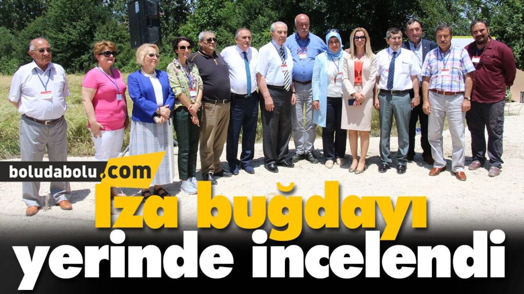 Iza buğdayı yerinde incelendi Iza buğdayı yerinde incelendi