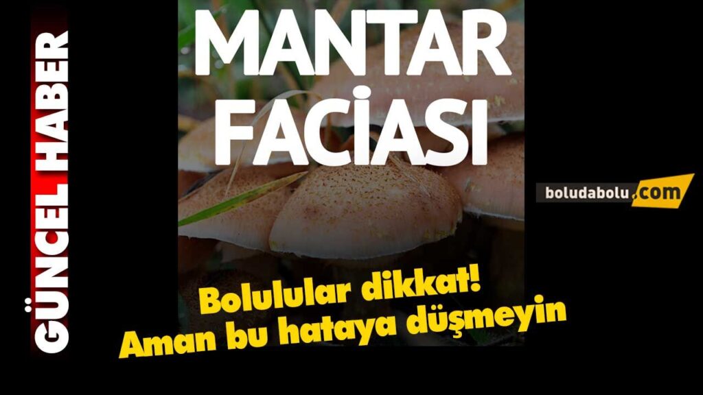 Yaylada yedikleri mantardan zehirlendiler Yaylada yedikleri mantardan zehirlendiler