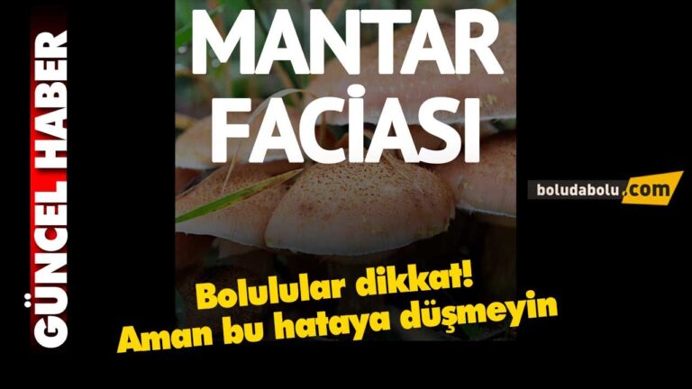 Yaylada yedikleri mantardan zehirlendiler