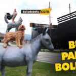 BOLU MASAL PARKI