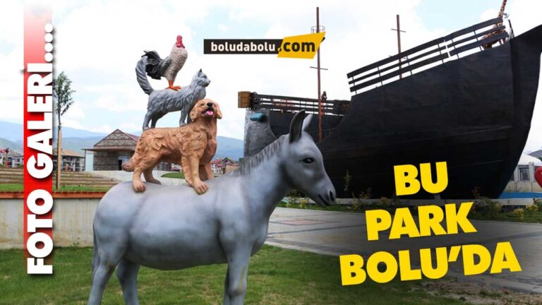 BOLU MASAL PARKI BOLU MASAL PARKI - Firma