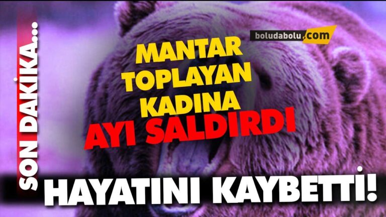 AYI SALDIRISI -BOLU