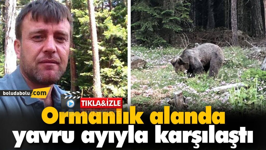 Ormanlık alanda yavru ayıyla karşılaştı Ormanlık alanda yavru ayıyla karşılaştı
