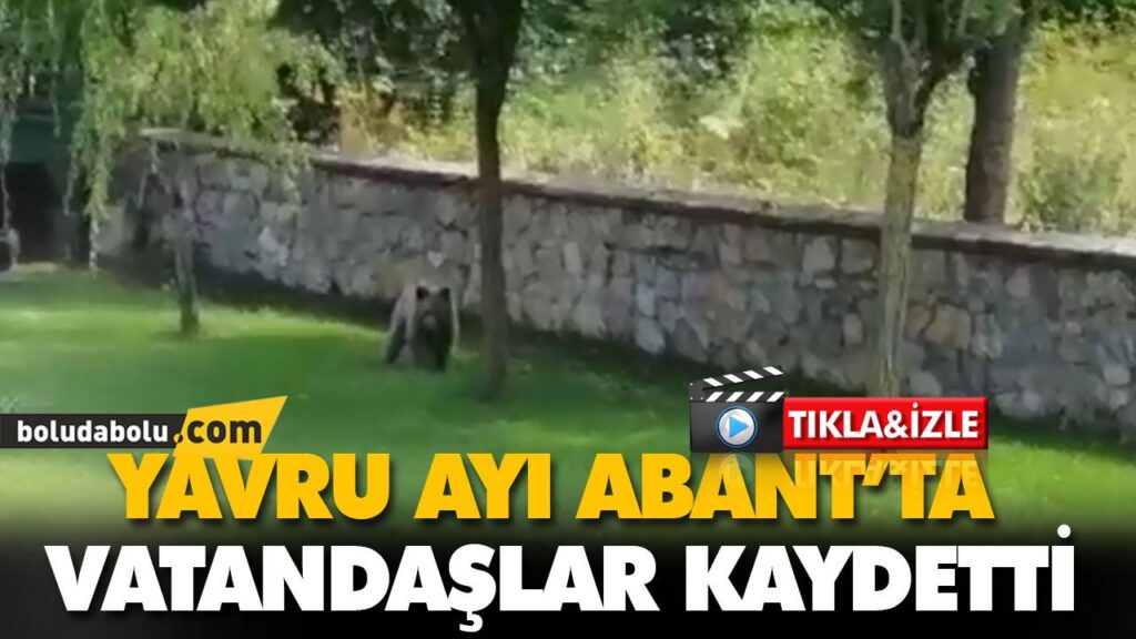 VATANDAŞLAR KAYDETTİ VATANDAŞLAR KAYDETTİ