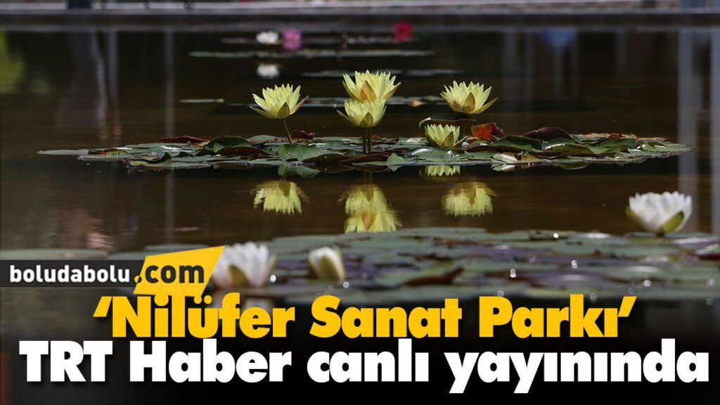 ‘Nilüfer Sanat Parkı’ TRT Haber canlı yayınında ‘Nilüfer Sanat Parkı’ TRT Haber canlı yayınında
