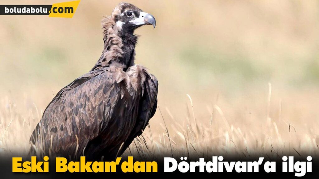 Eski Bakan’dan Dörtdivan’a ilgi Eski Bakan’dan Dörtdivan’a ilgi