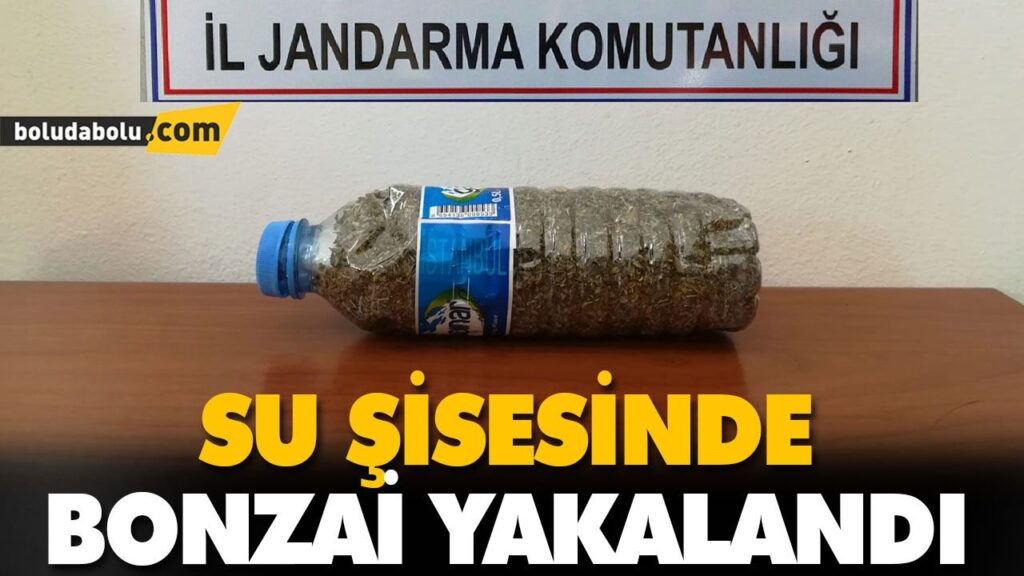 SU ŞİSESİNDE BONZAİ YAKALANDI SU ŞİSESİNDE BONZAİ YAKALANDI