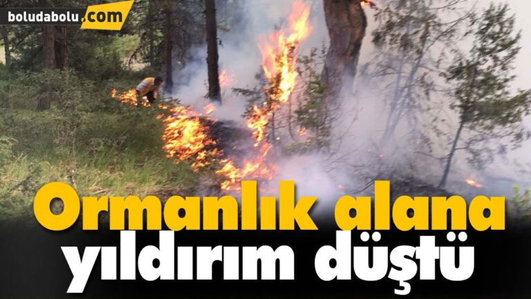 Ormanlık alana yıldırım düştü