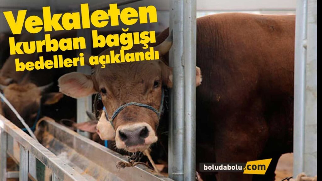Vekaleten kurban bağışı bedelleri açıklandı Vekaleten kurban bağışı bedelleri açıklandı