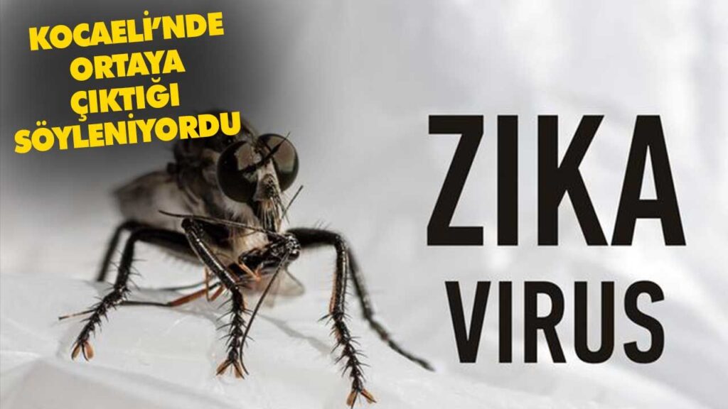 Zika virüsü hastalığı Zika virüsü hastalığı