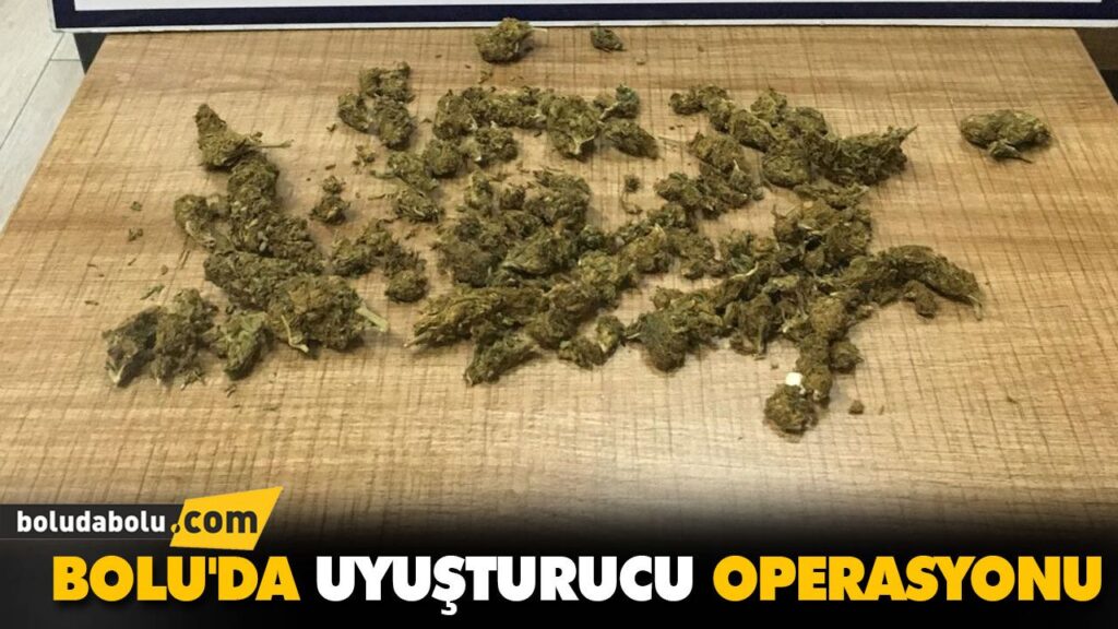 BOLU’DA UYUŞTURUCU OPERASYONU BOLU’DA UYUŞTURUCU OPERASYONU