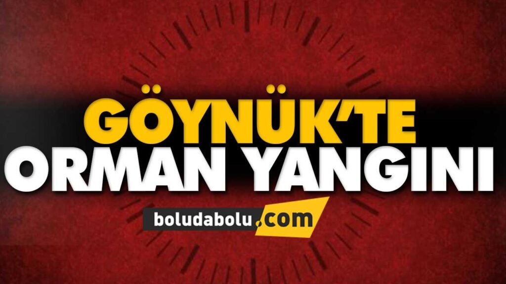 GÖYNÜK’TE ORMAN YANGINI