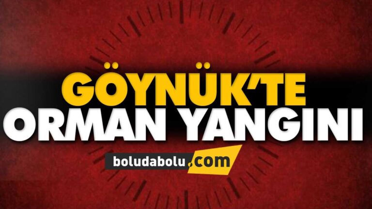 GÖYNÜK’TE ORMAN YANGINI