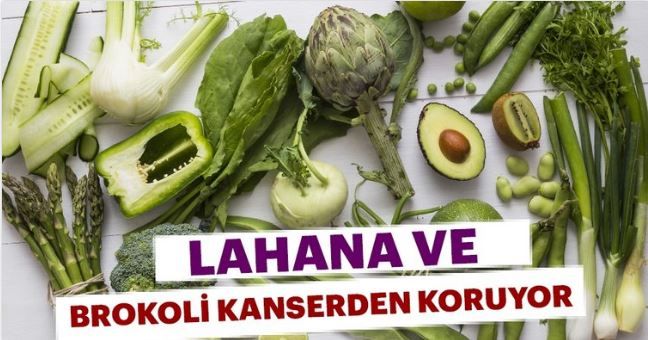 Lahana ve brokoli kanserden koruyor