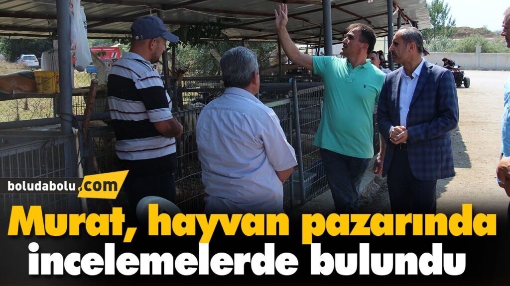 Murat, hayvan pazarında incelemelerde bulundu Murat, hayvan pazarında incelemelerde bulundu