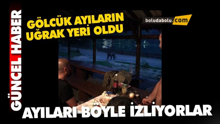 Gölcük ayıların uğrak yeri oldu, ziyaretçiler uyarıldı