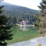 BOLU GÖLCÜK ADRES