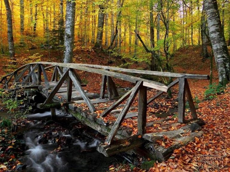 BOLU YEDİGÖLLER MİLLİ PARKI ADRES