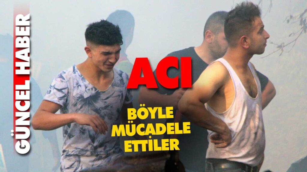 1 ev ve 4 samanlık 1 ev ve 4 samanlık