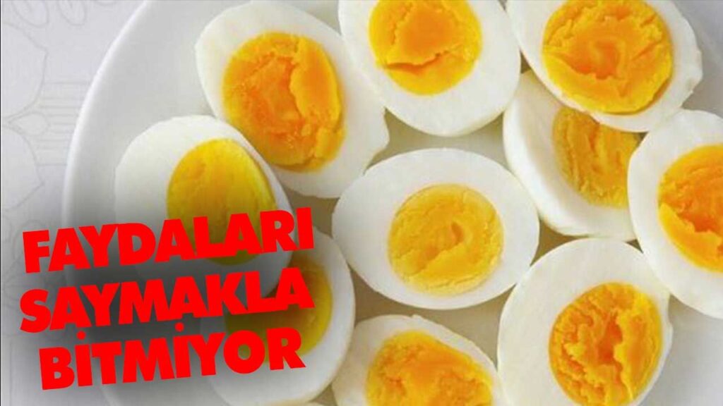 YUMURTANIN FAYDALARI YUMURTANIN FAYDALARI