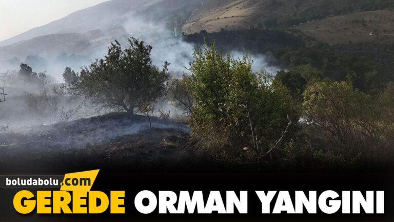 GEREDE ORMAN YANGINI