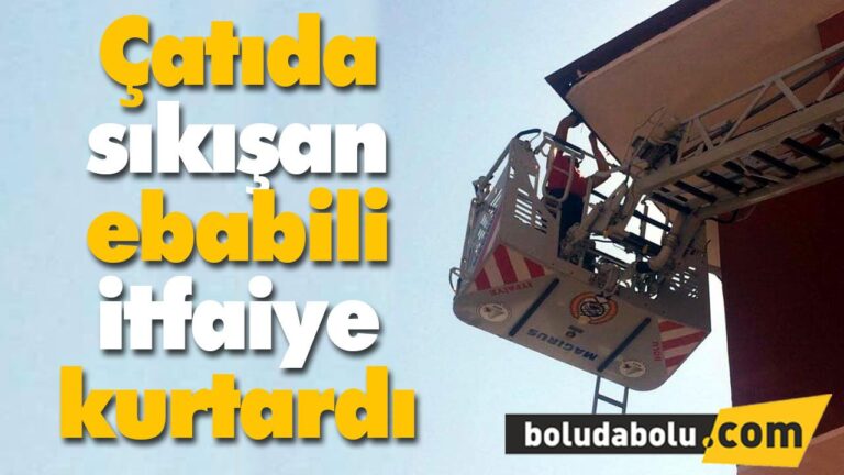Çatıda sıkışan ebabili tfaiye kurtardı