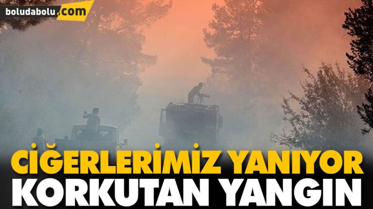 Göynük’te orman yangını