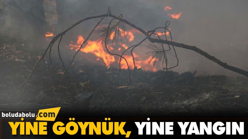 YİNE GÖYNÜK YİNE YANGIN YİNE GÖYNÜK YİNE YANGIN