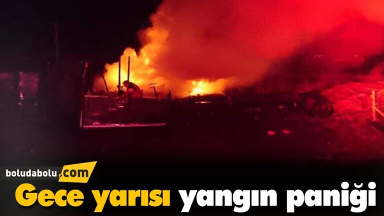 Odunluk kül oldu