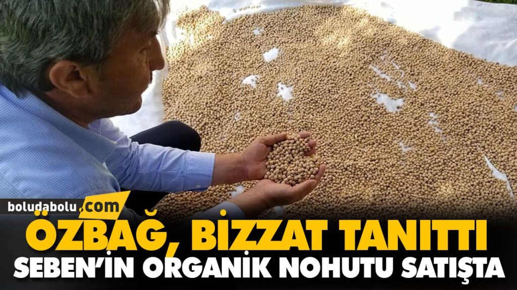 SEBEN’İN ORGANİK NOHUTU SATIŞTA SEBEN’İN ORGANİK NOHUTU SATIŞTA