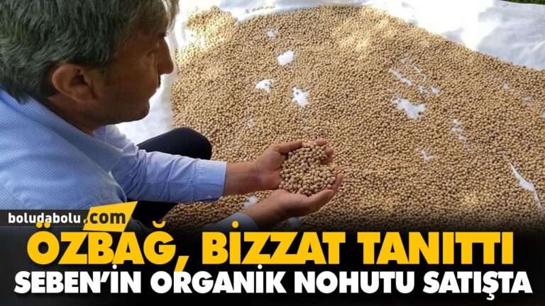 SEBEN’İN ORGANİK NOHUTU SATIŞTA
