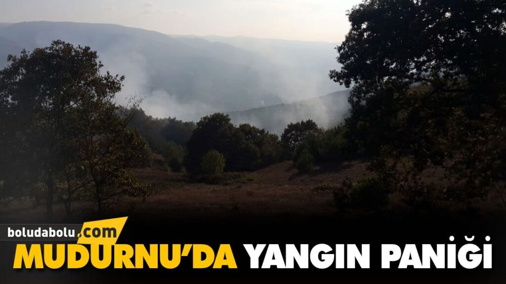 MUDURNU’DA YANGIN PANİĞİ