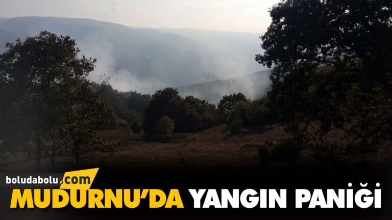 MUDURNU’DA YANGIN PANİĞİ