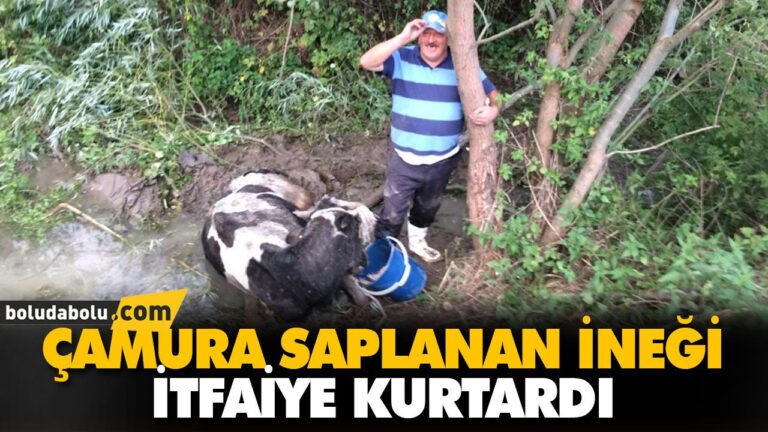 ÇAMURA SAPLANAN İNEĞİ İTFAİYE KURTARDI