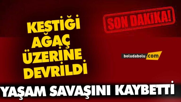 Kestiği ağacın altında kaldı