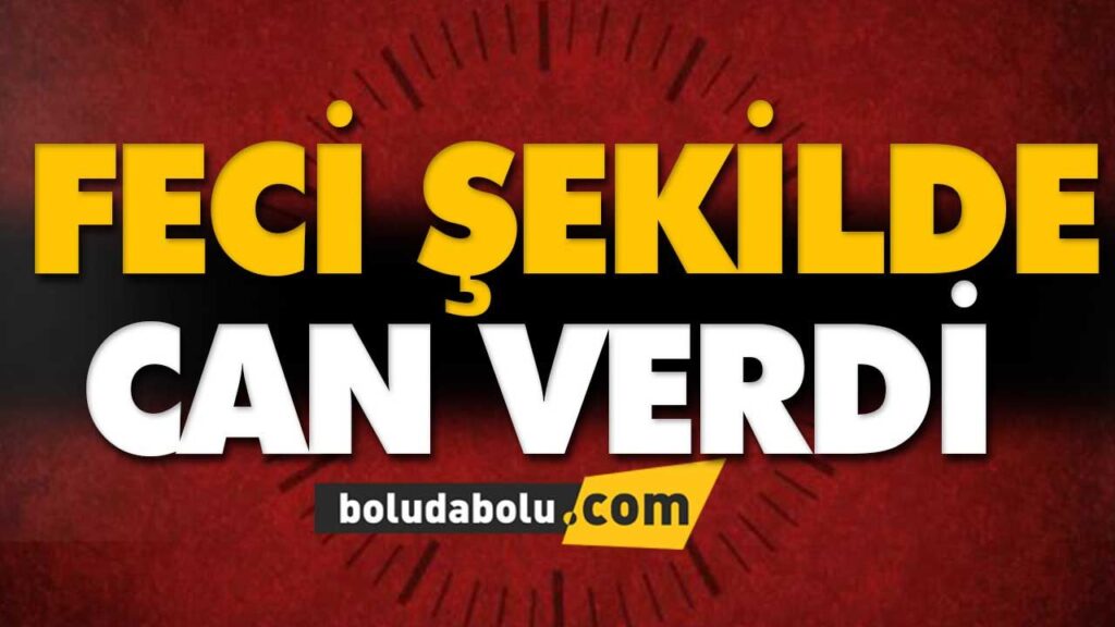 Üzerine ağaç devrilen orman işçisi öldü Üzerine ağaç devrilen orman işçisi öldü