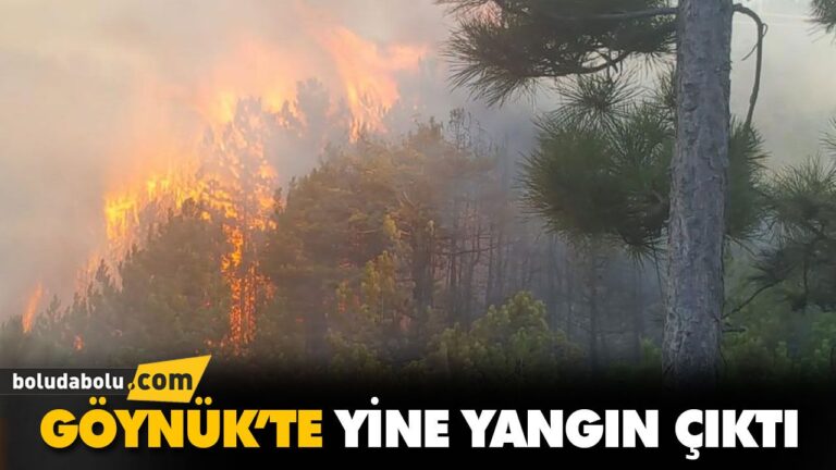 GÖYNÜK’TE YİNE YANGIN ÇIKTI