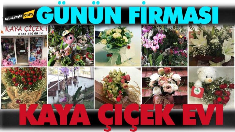 KAYA ÇİÇEK EVİ BOLU