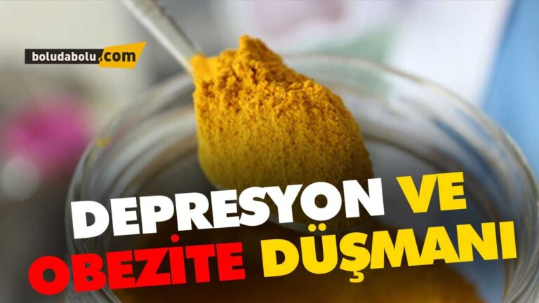 ZERDEÇAL NEYE İYİ GELİYOR ?