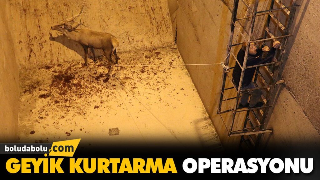 GEYİK KURTARMA OPERASYONU
