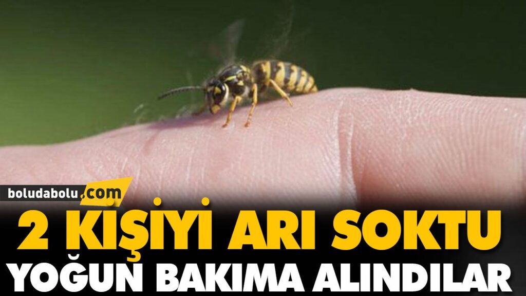 2 KİŞİYİ ARI SOKTU 2 KİŞİYİ ARI SOKTU