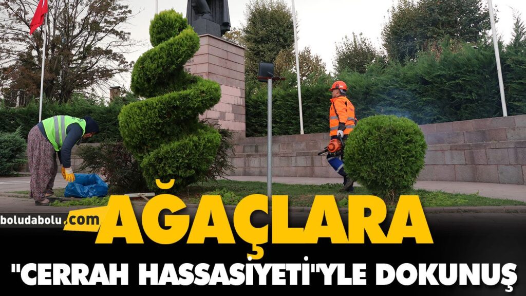 AĞAÇLARA “CERRAH HASSASİYETİ”YLE DOKUNUŞ AĞAÇLARA “CERRAH HASSASİYETİ”YLE DOKUNUŞ